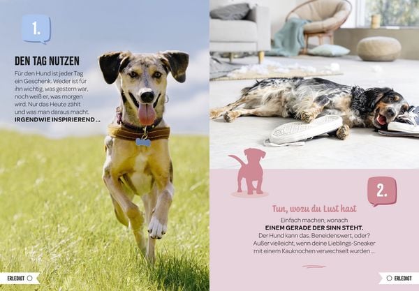 Produktbild: 100 Dinge, die man von einem Hund lernen kann