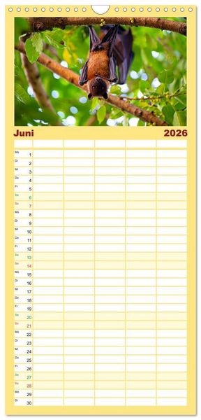 Produktbild: Familienplaner 2026 - Flughunde - Meister der Nacht mit 5 Spalten (Wandkalender, 21 x 45 cm) CALVENDO