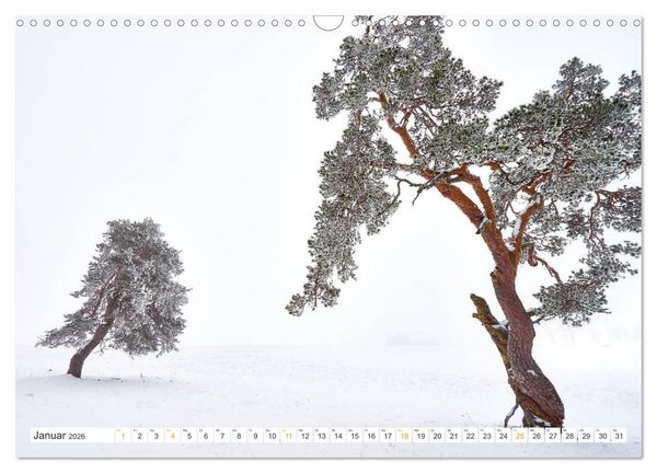Produktbild: B&auml;ume im Altm&uuml;hltal (Wandkalender 2026 DIN A3 quer), CALVENDO Monatskalender