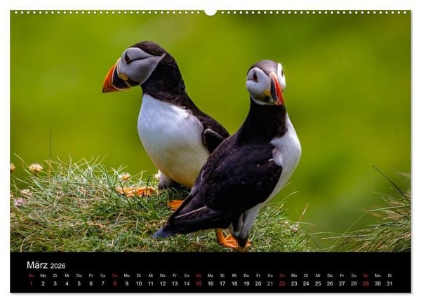 Produktbild: Schottlands Inseln (Wandkalender 2026 DIN A2 quer), CALVENDO Monatskalender