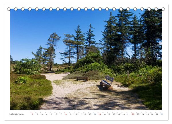 Produktbild: Impressionen der Nordseeinsel Amrum (Tischkalender 2026 DIN A5 quer), CALVENDO Monatskalender