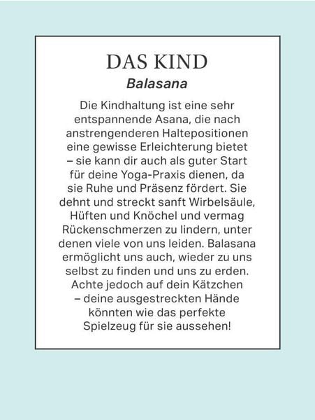 Produktbild: Yoga mit Katze