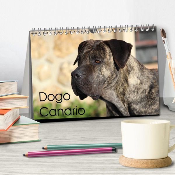 Produktbild: Dogo Canario (Tischkalender 2026 DIN A5 quer), CALVENDO Monatskalender