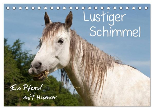 Produktbild: Lustiger Schimmel - ein Pferd mit Humor (Tischkalender 2026 DIN A5 quer), CALVENDO Monatskalender