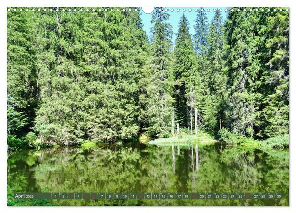 Produktbild: Wandererlebnisse im Bayrischen Wald (Wandkalender 2026 DIN A3 quer), CALVENDO Monatskalender