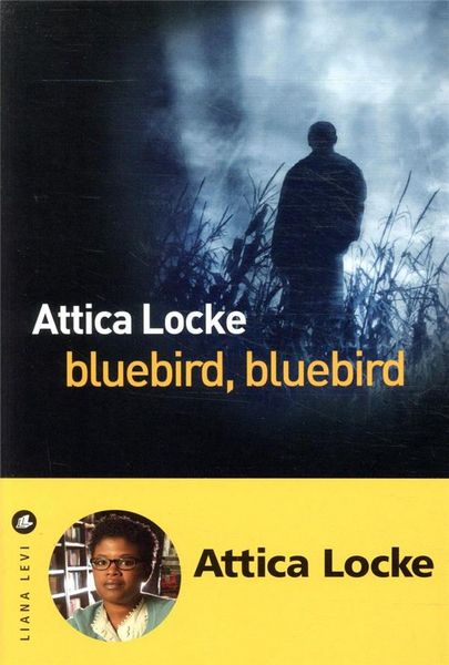 Produktbild: Bluebird, bluebird