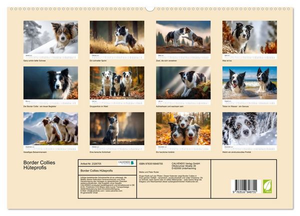 Produktbild: Border Collies H&uuml;teprofis (hochwertiger Premium Wandkalender 2027 DIN A2 quer), Kunstdruck in Hochglanz