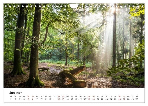 Produktbild: Taunus - Traumhafte W&auml;lder und romantische Orte (Wandkalender 2027 DIN A4 quer), CALVENDO Monatskalender