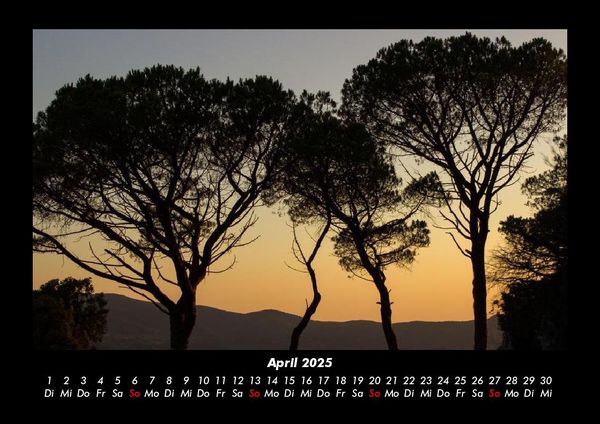 Produktbild: B&auml;ume 2025 Fotokalender DIN A3