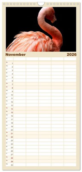 Produktbild: Familienplaner 2026 - Flamingo Zauber mit 5 Spalten (Wandkalender, 21 x 45 cm) CALVENDO