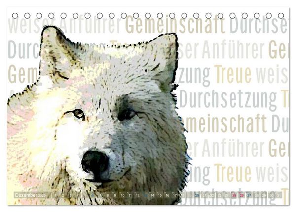 Produktbild: Mein wildes Krafttier und seine spirituellen Werte. (Tischkalender 2026 DIN A5 quer), CALVENDO Monatskalender