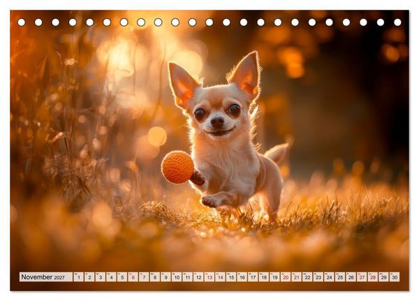 Produktbild: Niedliche Chihuahuas (Tischkalender 2027 DIN A5 quer), CALVENDO Monatskalender