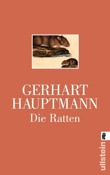 Produktbild: Die Ratten