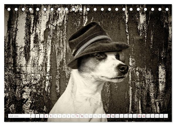 Produktbild: Hund tr&auml;gt Hut (Tischkalender 2026 DIN A5 quer), CALVENDO Monatskalender