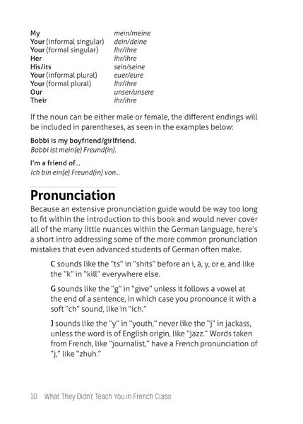 Produktbild: What They Didn't Teach You in German Class