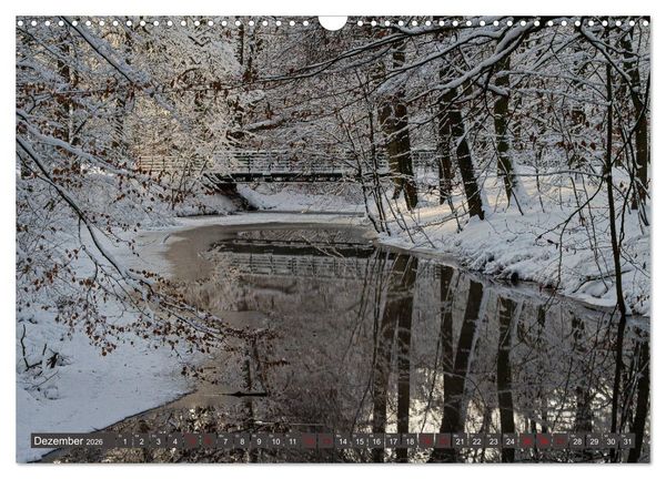 Produktbild: Das Steinfurter Bagno im Wandel der Jahreszeiten (Wandkalender 2026 DIN A3 quer), CALVENDO Monatskalender