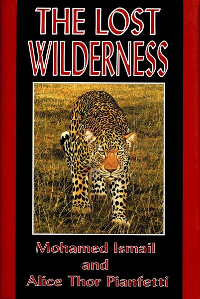 Produktbild: The Lost Wilderness