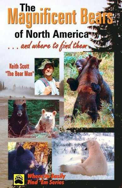 Produktbild: Magnificent Bears of North America