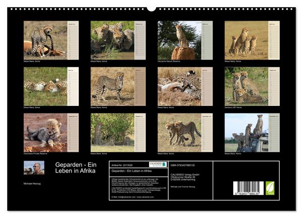 Produktbild: Geparden - Ein Leben in Afrika (hochwertiger Premium Wandkalender 2026 DIN A2 quer), Kunstdruck in Hochglanz