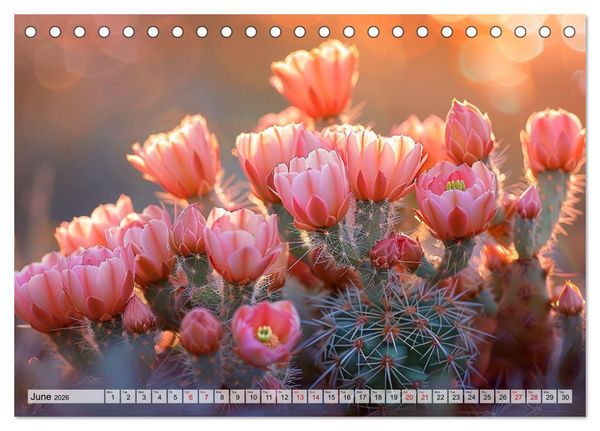 Produktbild: Prickly Cactus Journey (Desk Calendar 2026 DIN A5 landscape), CALVENDO 12 Month DeskCalendar