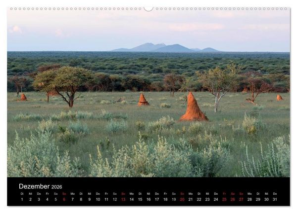 Produktbild: Lichterf&uuml;lltes Namibia (Wandkalender 2026 DIN A2 quer), CALVENDO Monatskalender