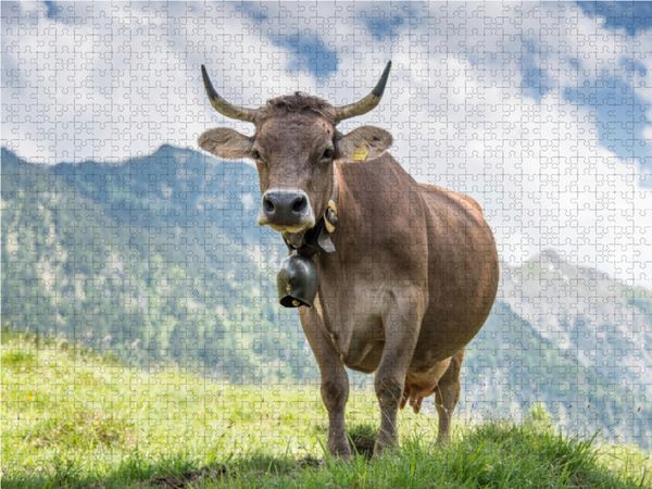 Produktbild: CALVENDO Puzzle Original Braunvieh | 1000 Teile Lege-Gr&ouml;&szlig;e 64x48cm Foto-Puzzle f&uuml;r gl&uuml;ckliche Stunden