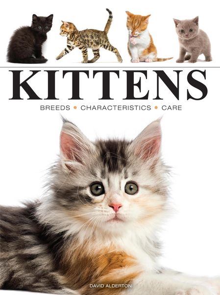 Produktbild: Kittens