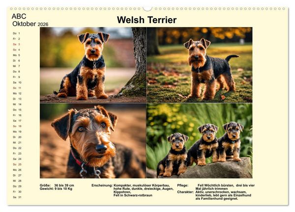 Produktbild: Terrier-Rassen im Portrait (hochwertiger Premium Wandkalender 2026 DIN A2 quer), Kunstdruck in Hochglanz