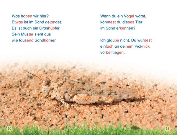 Produktbild: SUPERLESER! Insekten, top getarnt