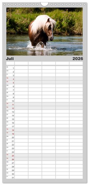 Produktbild: Familienplaner 2026 - Faszination und Vielfalt - Schwarzw&auml;lder Kaltblut mit 5 Spalten (Wandkalender, 21 x 45 cm) CALVENDO