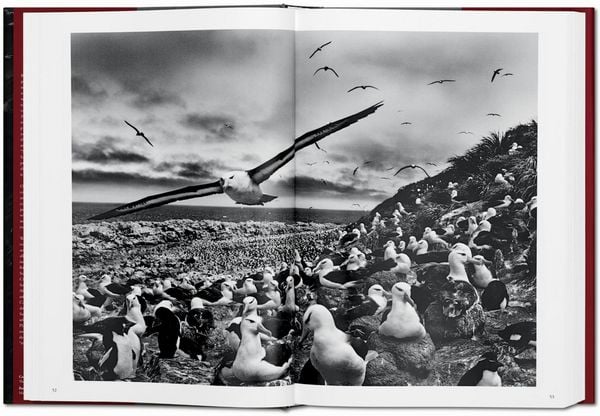 Produktbild: Sebasti&atilde;o Salgado. G&eacute;nesis