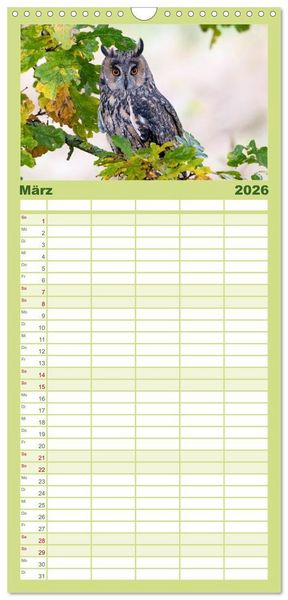 Produktbild: Familienplaner 2026 - Europas Greifv&ouml;gel und Eulen mit 5 Spalten (Wandkalender, 21 x 45 cm) CALVENDO