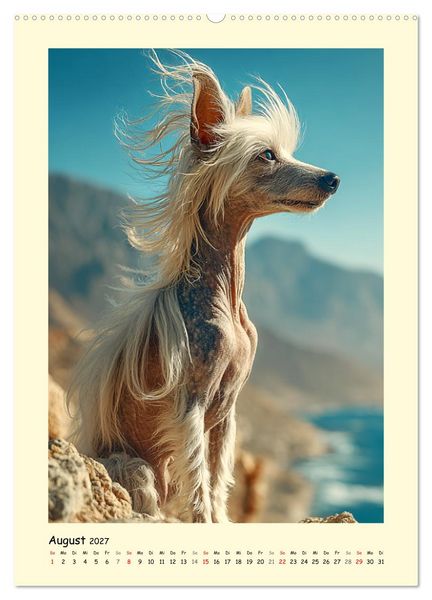 Produktbild: Charme und Grazie. Die Anmut der Chinesischen Schopfhunde (hochwertiger Premium Wandkalender 2027 DIN A2 hoch), Kunstdruck in Hochglanz