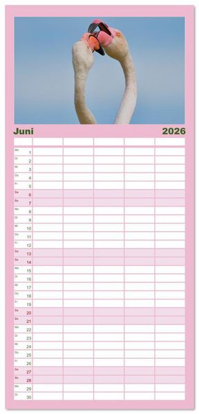 Produktbild: Familienplaner 2026 - The Power Of Pink mit 5 Spalten (Wandkalender, 21 x 45 cm) CALVENDO