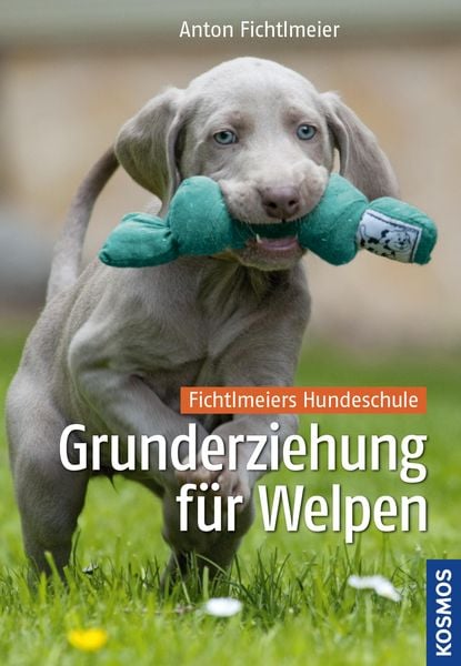 Produktbild: Grunderziehung für Welpen