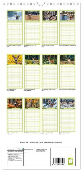 Produktbild: Familienplaner 2026 - HIRSCHE UND REHE - Ein Jahr in freier Wildbahn mit 5 Spalten (Wandkalender, 21 x 45 cm) CALVENDO