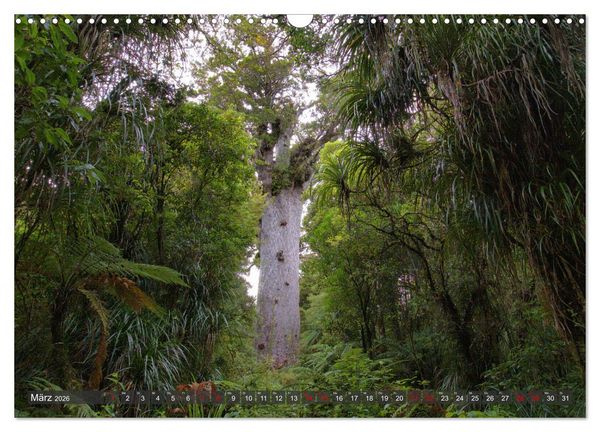 Produktbild: Neuseeland - Von der Nordinsel zur S&uuml;dinsel (Wandkalender 2026 DIN A3 quer), CALVENDO Monatskalender