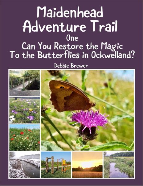 Produktbild: Maidenhead Adventure Trail One, Can You Restore the Magic to the Butterflies In Ockwelland?