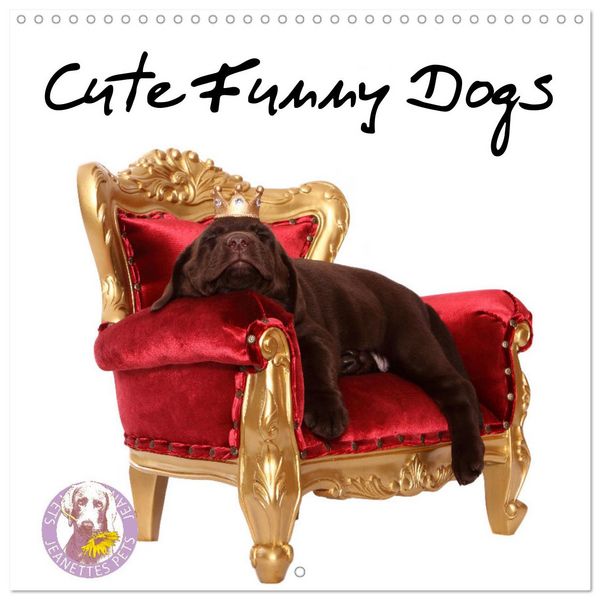 Produktbild: Cute Funny Dogs (Wall Calendar 2026 12 &times; 12 Inch) CALVENDO 12 Month Wall Calendar