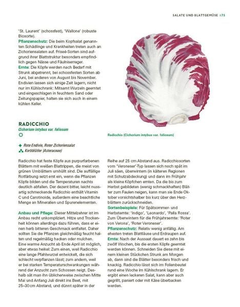 Produktbild: Das gro&szlig;e Gem&uuml;se- und Obstgartenbuch