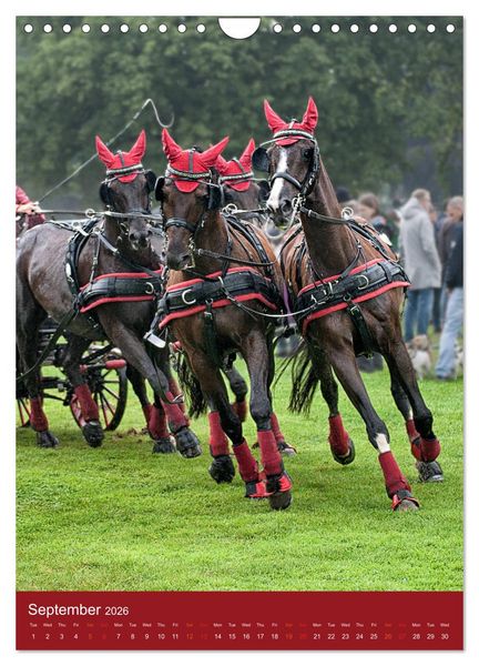 Produktbild: Carriage Driving - Horses in Action (Wall Calendar 2026 DIN A4 portrait), CALVENDO 12 Month Wall Calendar