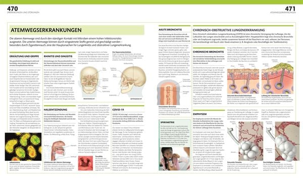 Produktbild: Anatomie und Physiologie