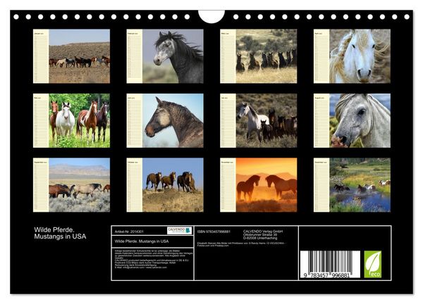 Produktbild: Wilde Pferde. Mustangs in USA (Wandkalender 2026 DIN A4 quer), CALVENDO Monatskalender