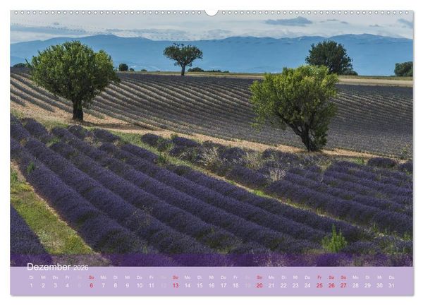 Produktbild: Die Farbe des Lavendels (hochwertiger Premium Wandkalender 2026 DIN A2 quer), Kunstdruck in Hochglanz