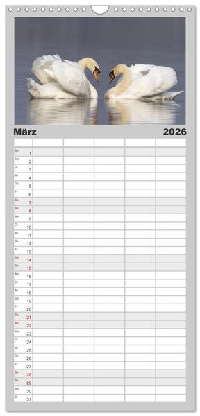 Produktbild: Familienplaner 2026 - Der H&ouml;ckerschwan elegant und stolz mit 5 Spalten (Wandkalender, 21 x 45 cm) CALVENDO