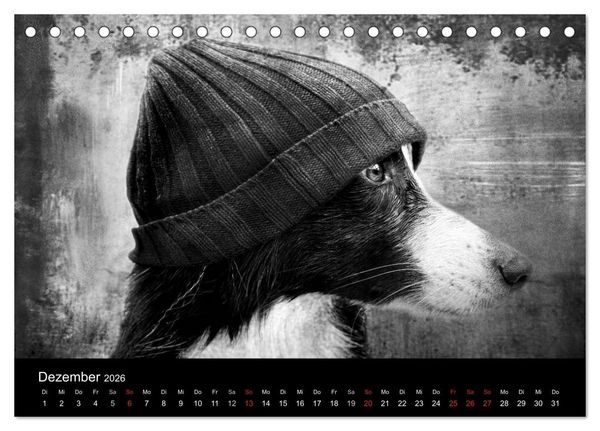 Produktbild: H&uuml;tehunde (Tischkalender 2026 DIN A5 quer), CALVENDO Monatskalender