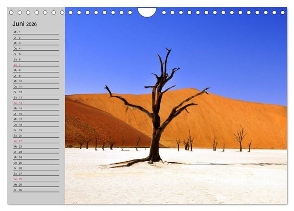 Produktbild: Magische B&auml;ume (Wandkalender 2026 DIN A4 quer), CALVENDO Monatskalender