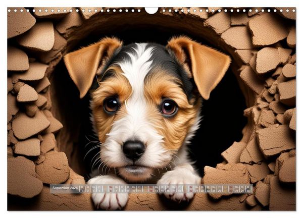 Produktbild: Kuschelige Hunde - kleine Herzensbrecher in Aktion (Wandkalender 2026 DIN A3 quer), CALVENDO Monatskalender