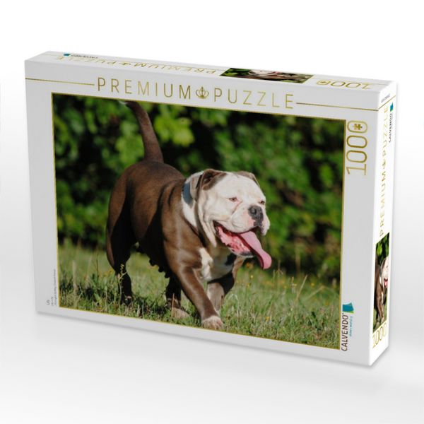 Produktbild: CALVENDO Puzzle Lilly | 1000 Teile Lege-Gr&ouml;&szlig;e 64x48cm Foto-Puzzle f&uuml;r gl&uuml;ckliche Stunden