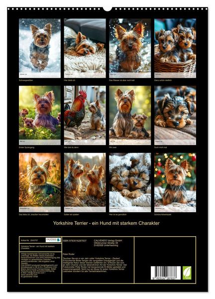 Produktbild: Yorkshire Terrier - ein Hund mit starkem Charakter (hochwertiger Premium Wandkalender 2026 DIN A2 hoch), Kunstdruck in Hochglanz